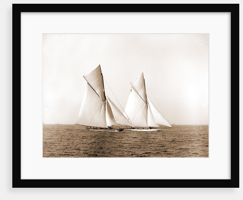 Shamrock and Columbia maneuvering for the start, Columbia (Sloop), Shamrock I (Yacht) by Anonymous