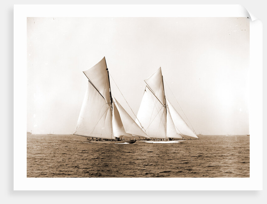 Shamrock and Columbia maneuvering for the start, Columbia (Sloop), Shamrock I (Yacht) by Anonymous
