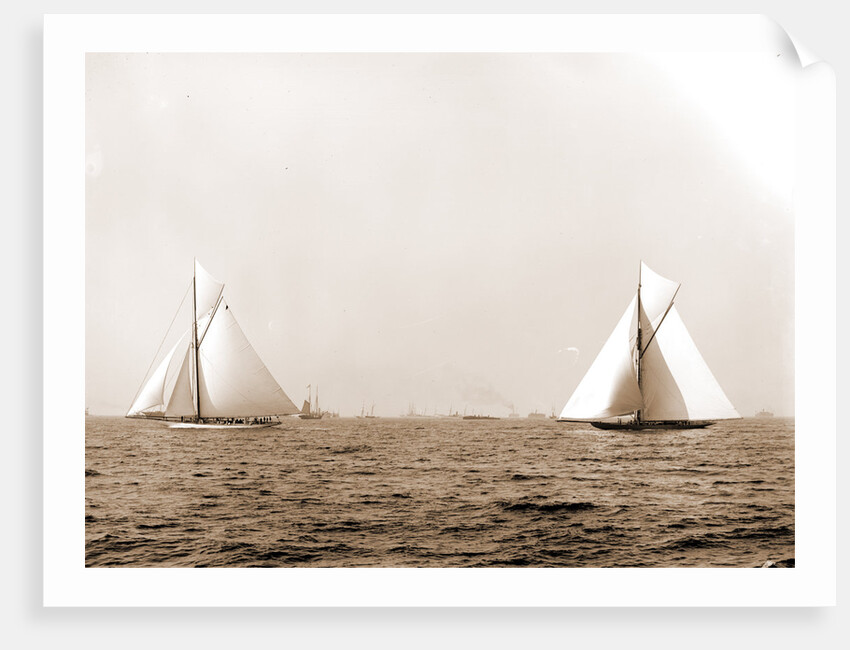 Columbia and Shamrock I, the start, Columbia (Sloop), Shamrock I (Yacht) by Anonymous