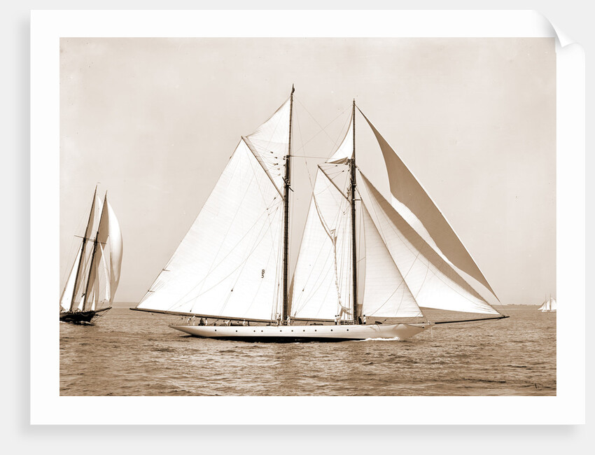 Corona, flagship of Commodore Ledyard, Corona (Schooner), 1900 by Anonymous