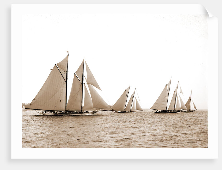 Corona & Latona, Latona (Schooner), 1900 by Anonymous