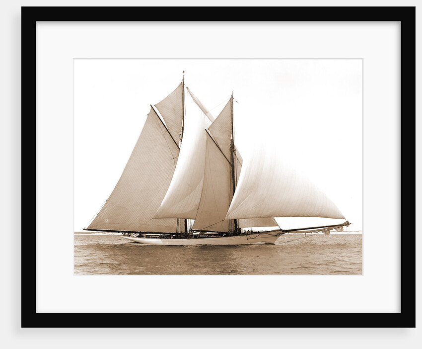 Merlin (Schooner), 1892 by Anonymous