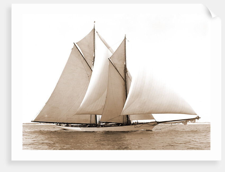 Merlin (Schooner), 1892 by Anonymous