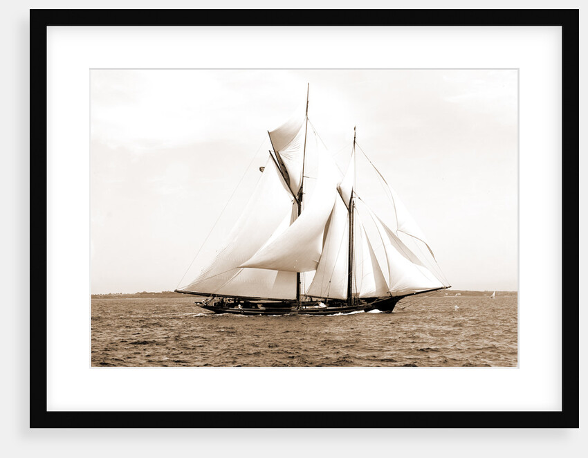 Ramona (Schooner), 1888 by Anonymous