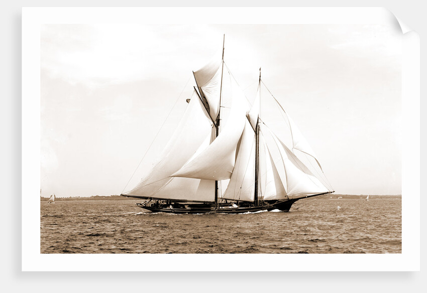 Ramona (Schooner), 1888 by Anonymous