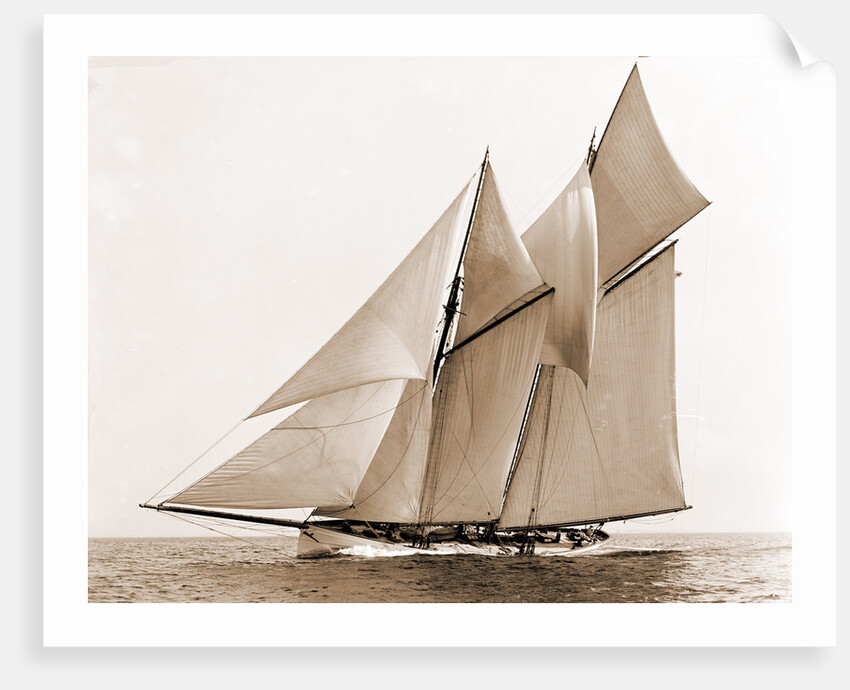 Mayflower (Schooner), 1891 by Anonymous