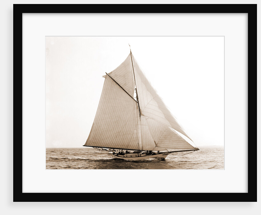 Tigress (Yacht) by Anonymous