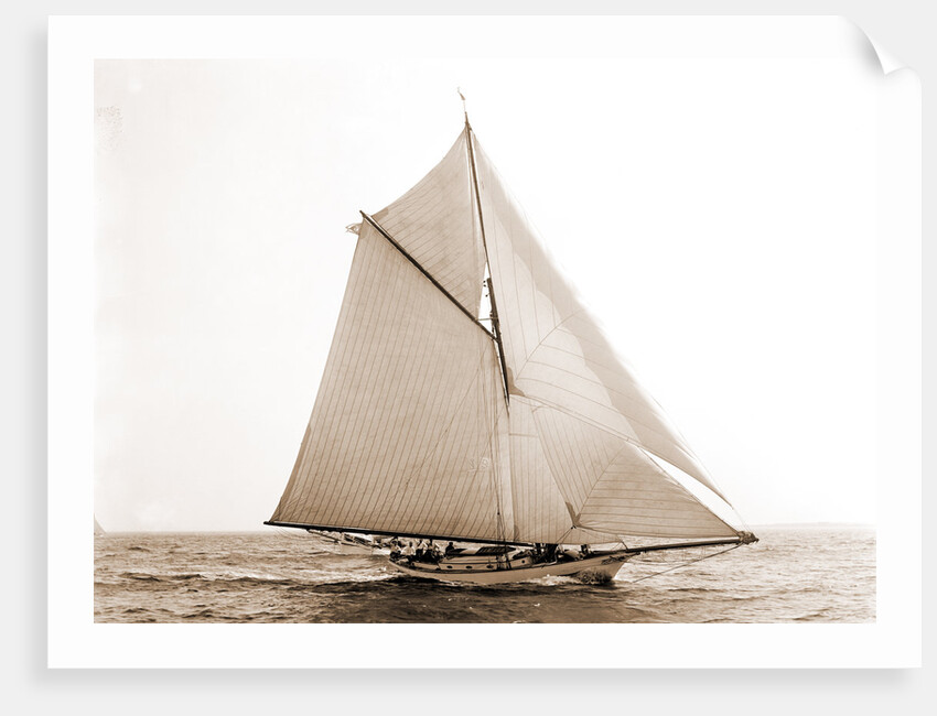 Tigress (Yacht) by Anonymous