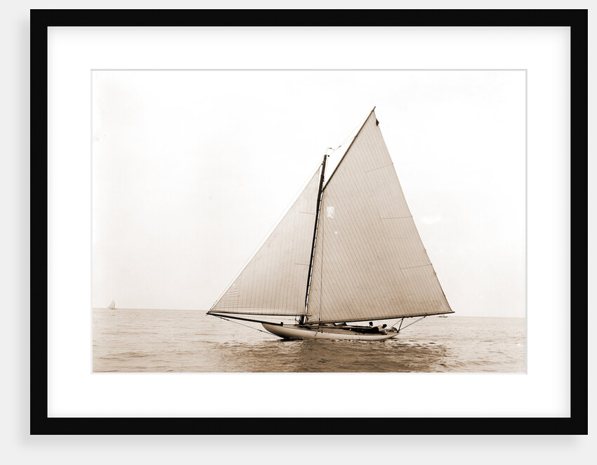 Freak (Yacht) by Anonymous