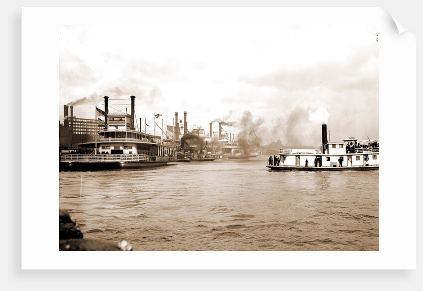 Steamboats along the levee, New Orleans by Anonymous