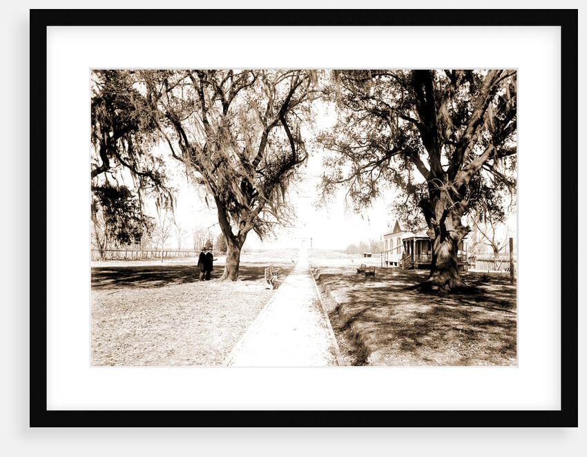 Battle monument, Chalmette by Anonymous