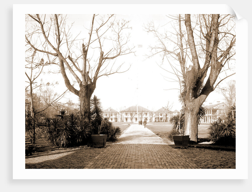 Jackson barracks, Chalmette by Anonymous