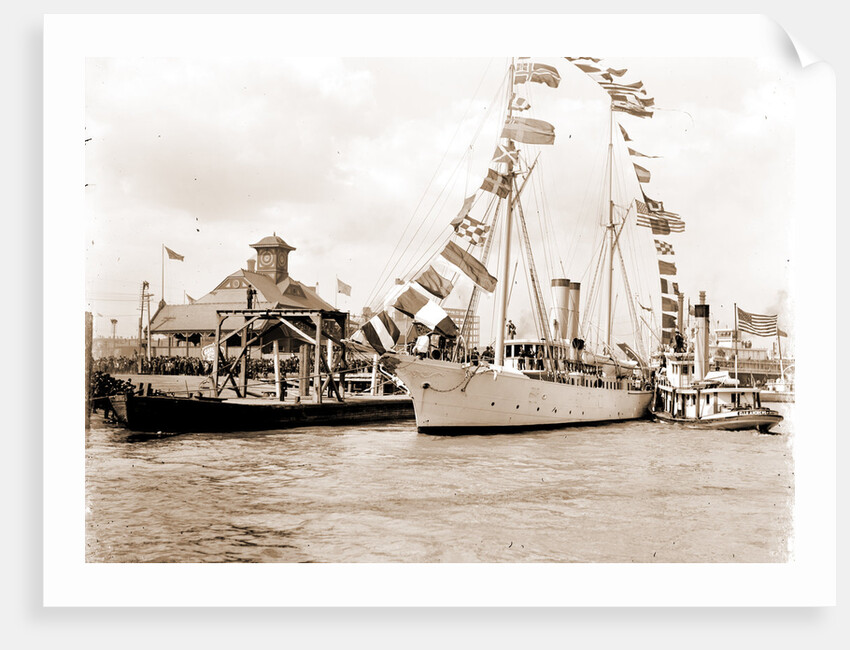 Mardi Gras, New Orleans by Anonymous