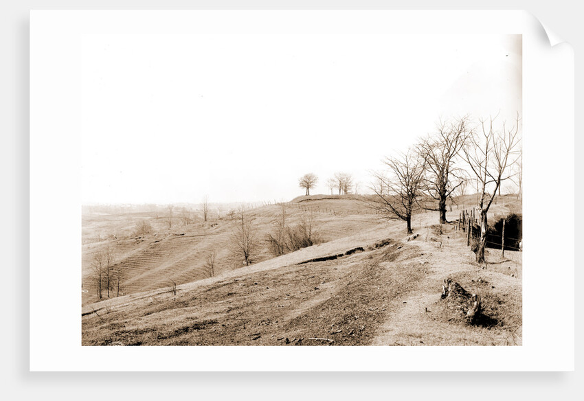 General view of battlefield, Vicksburg by Anonymous
