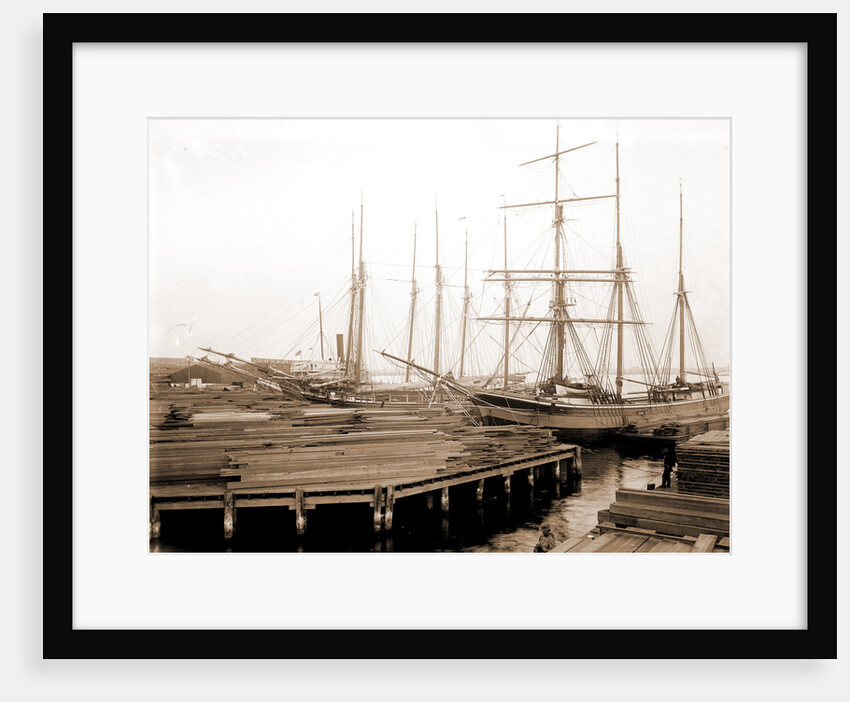Lumber wharfs, St. John's River by Anonymous