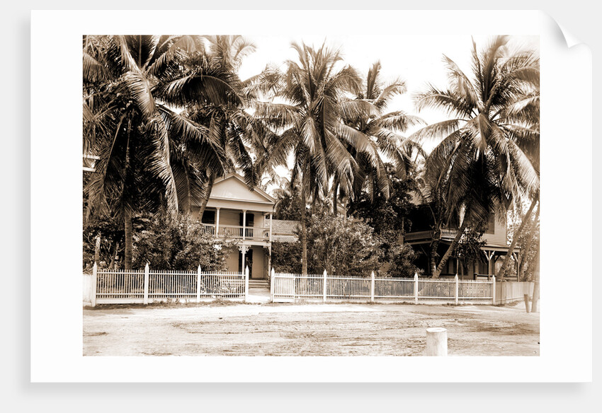 Residence in palm grove, Key West by Anonymous