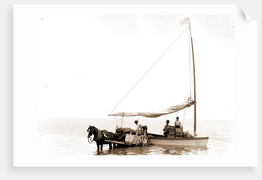 Coast traders, Key West by Anonymous