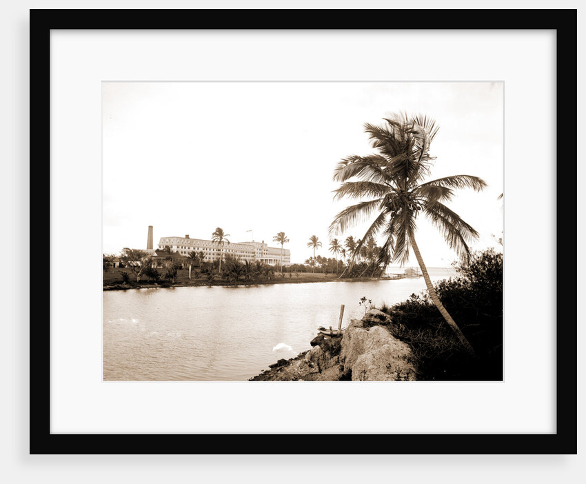 Royal Palm Hotel from Miami River, Hotels by Anonymous