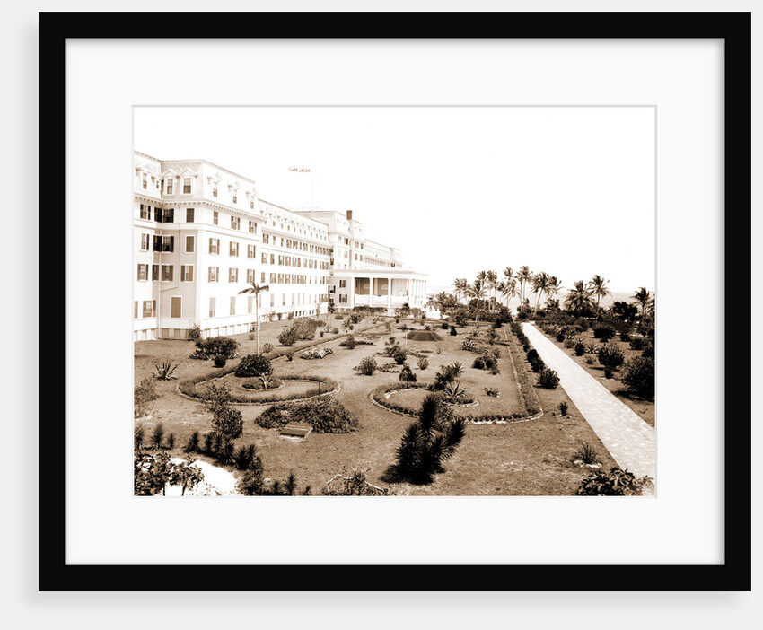 Hotel Royal Palm by Anonymous