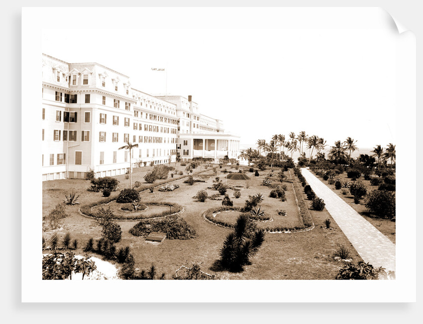 Hotel Royal Palm by Anonymous