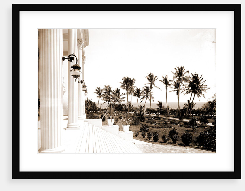 Porch of the Hotel Royal Palm by Anonymous
