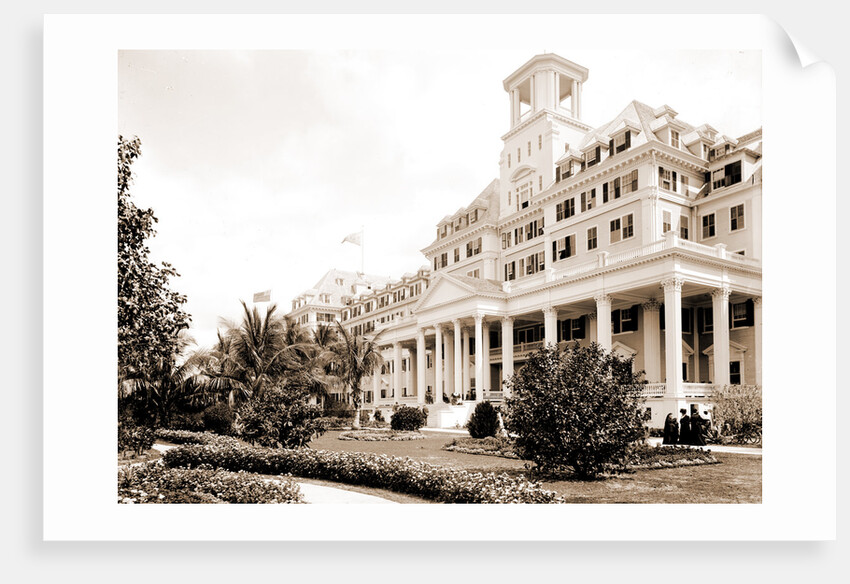 Hotel Royal Poinciana, Palm Beach by Anonymous