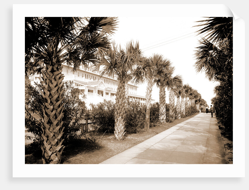 The Breakers, Palm Beach by Anonymous