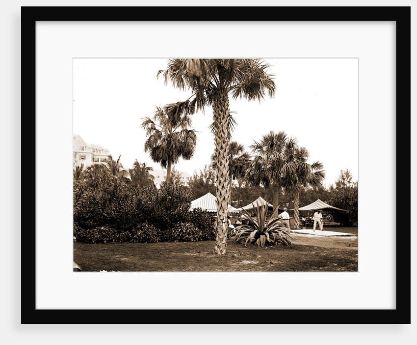 Golf links, Hotel Royal Poinciana by Anonymous