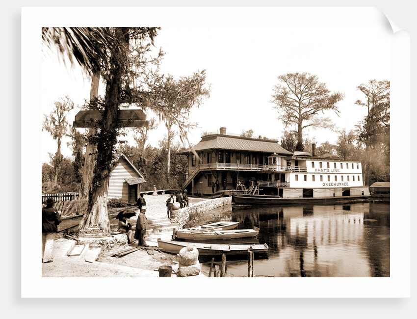 The Okeehumkee at wharf, Silver Springs by Anonymous