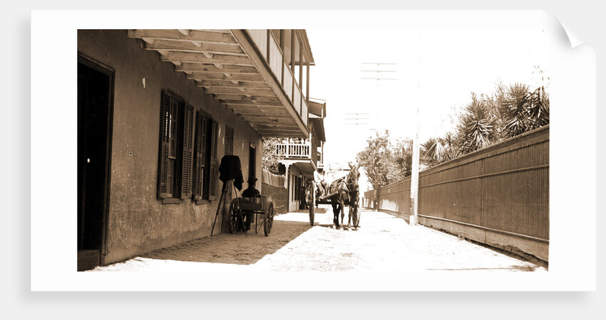 St. George Street, St. Augustine by Anonymous