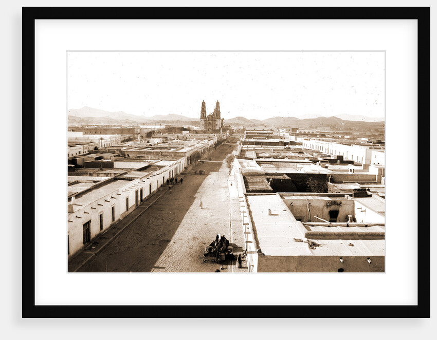 Chihuahua from the Casa de Moneda, Jackson by Anonymous