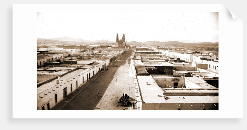 Chihuahua from the Casa de Moneda, Jackson by Anonymous
