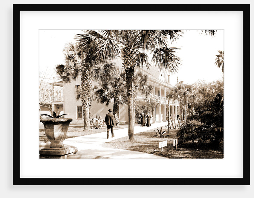 Post office, St. Augustine by Anonymous