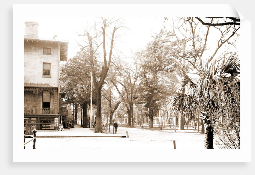 Liberty St, Savannah by Anonymous