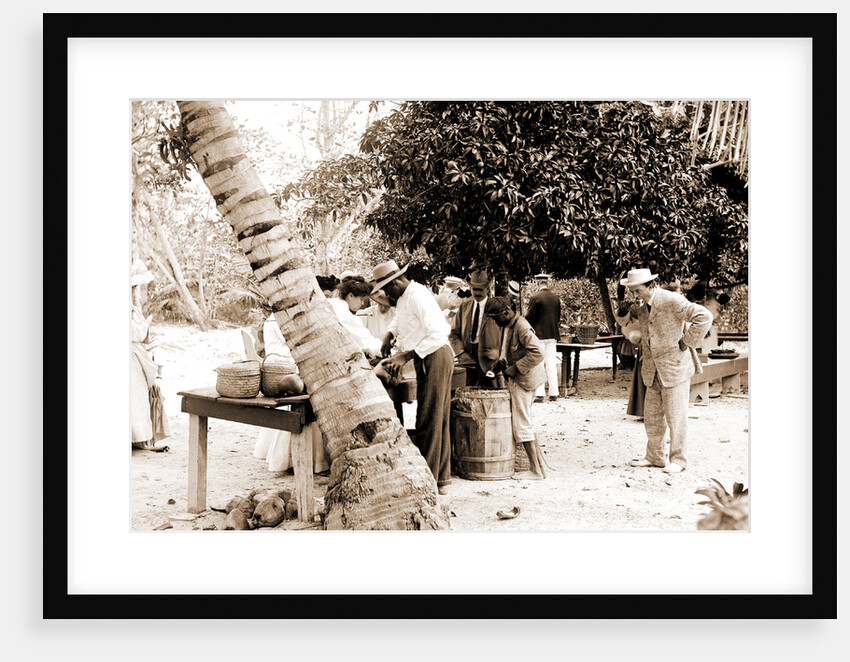 Tourists buying coconuts and fruit from vendor, probably Nassau by Anonymous