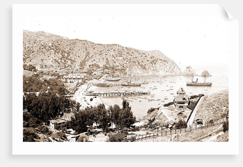 Harbor and Avalon Greek Theater, Avalon by Anonymous