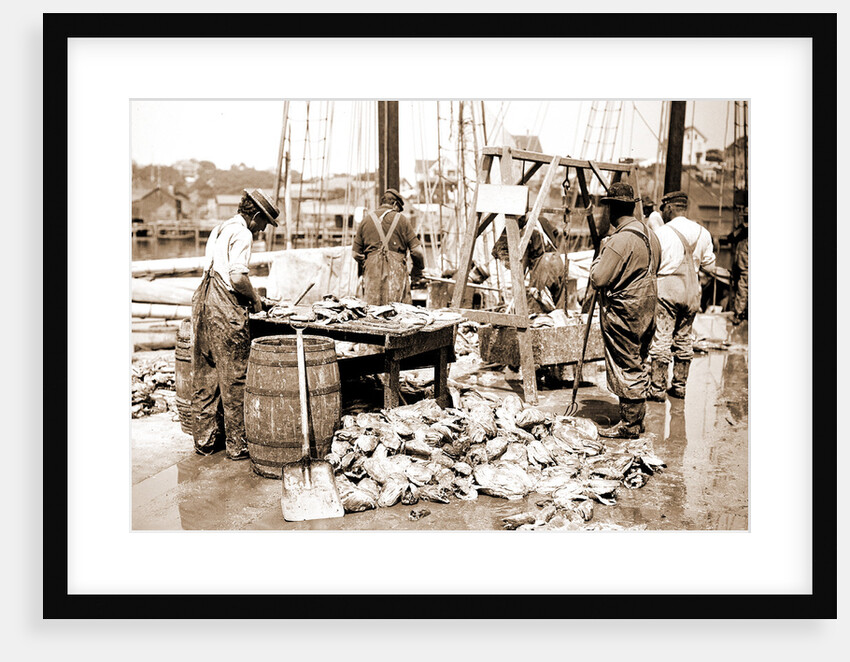 Weighing up the catch, Gloucester by Anonymous