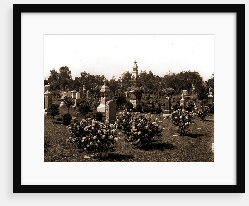 Cemetery, Cemeteries by Anonymous