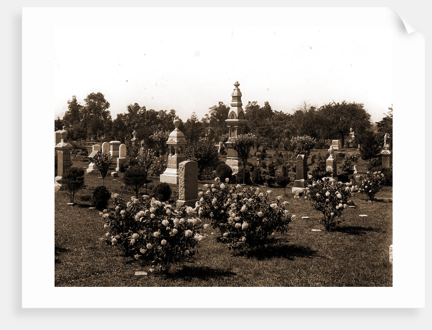 Cemetery, Cemeteries by Anonymous