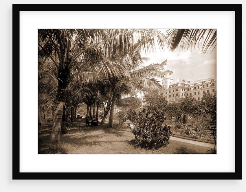 Hotel Royal Poinciana, Lake Worth by Anonymous