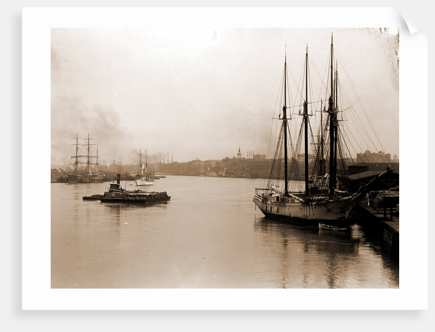 Savannah River from steamship wharf, Savannah by Anonymous