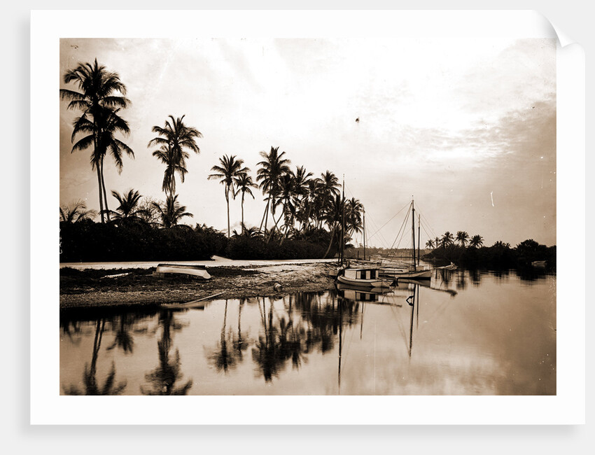 Miami River evening, Waterfronts by Anonymous