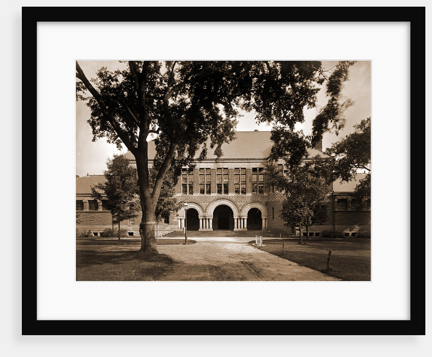 The Law School, Harvard College by Anonymous