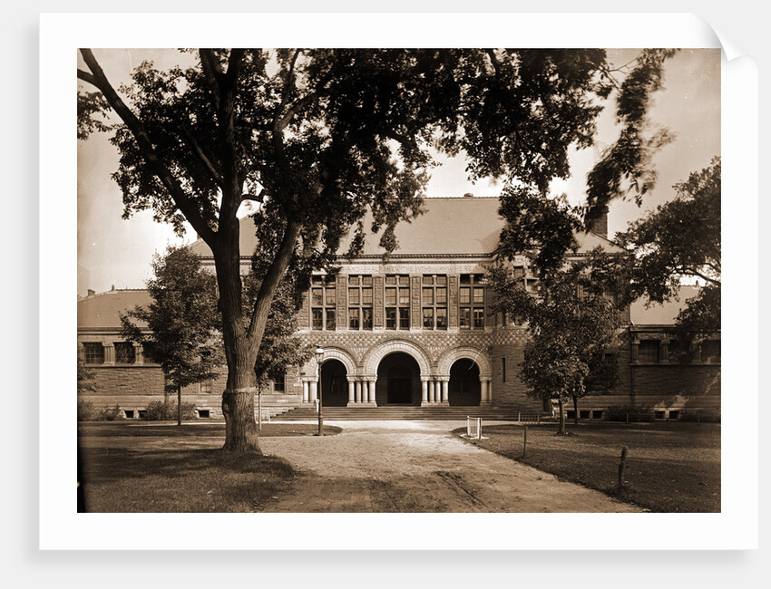 The Law School, Harvard College by Anonymous
