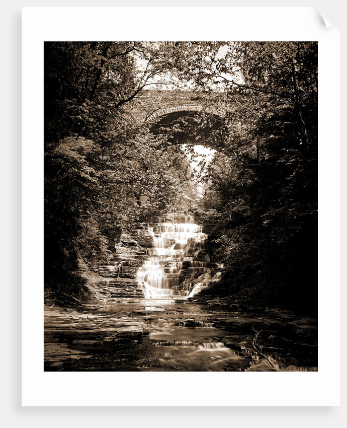 Cascadilla Gorge, Ithaca by Anonymous