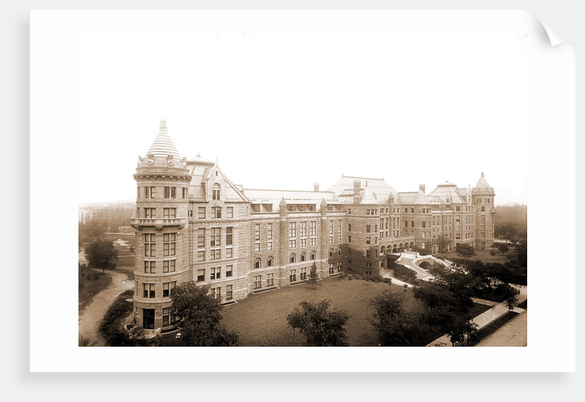 American Museum of Natural History, New York by Anonymous