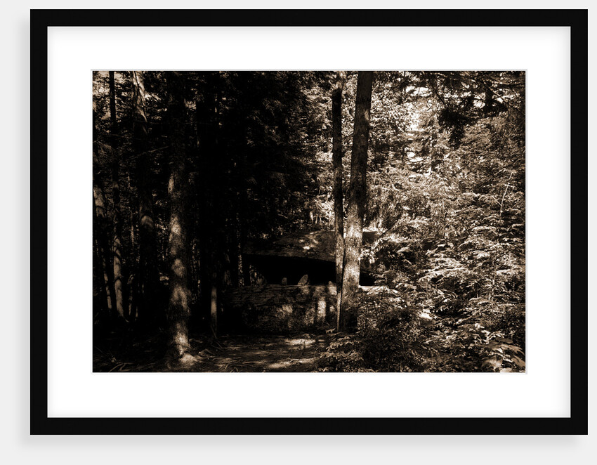 Alligator Head near South Lake, Catskill Mountains by Anonymous