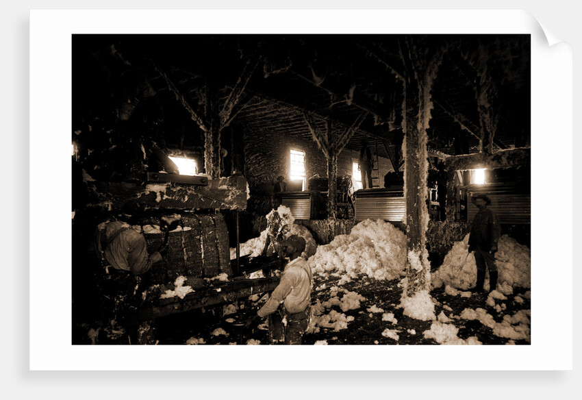 Cotton gin at Dahomey, Cotton industry by Anonymous