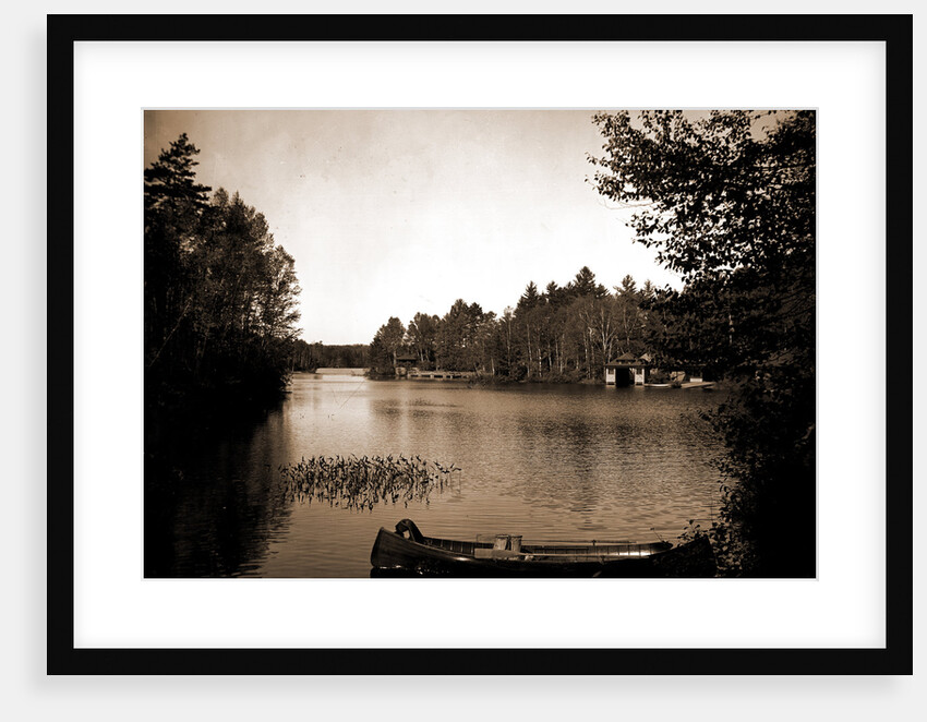 Outlet, Upper St. Regis Lake by Anonymous