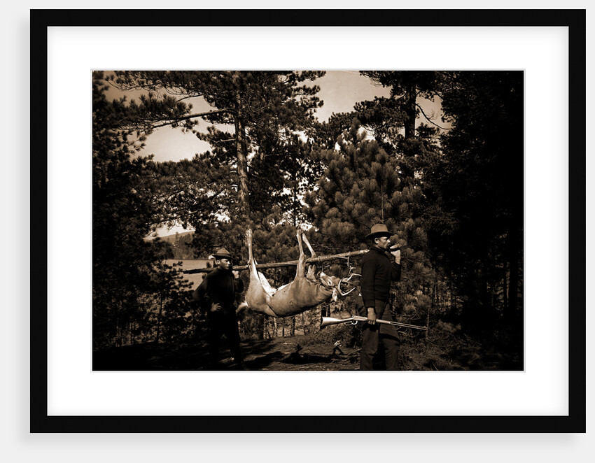 Hunting in the Adirondacks, Deer hunting by Anonymous